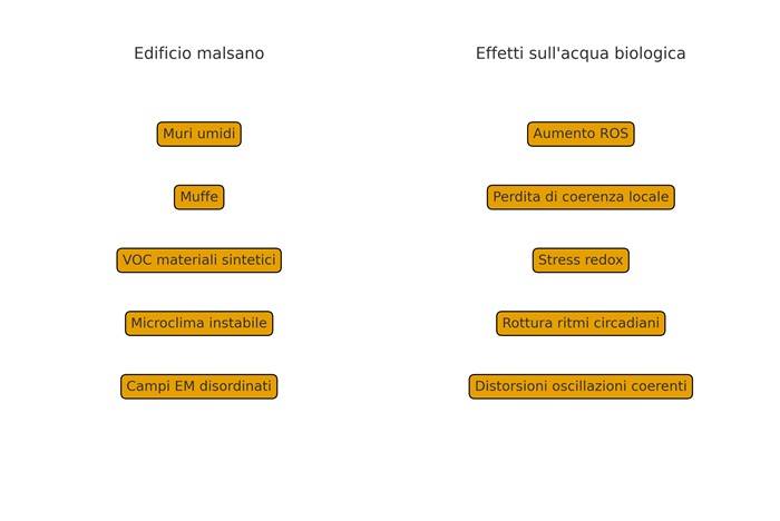 Schema a due colonne che collega fattori negativi dell’edificio a effetti biologici sull’acqua, tra cui aumento dei ROS, perdita di coerenza e alterazione dei ritmi circadiani.
