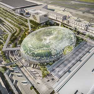 jewel_changi_airport_the_forest_valley.jpg