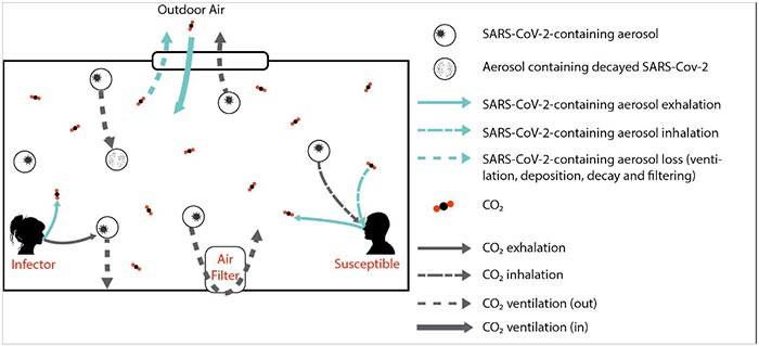 Illustrazione dei meccanismi di aumento e diminuzione dei livelli di CO2 e della trasmissione del virus in un ambiente interno ventilato