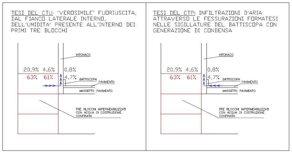Sintesi delle due tesi del CTU e CTP.