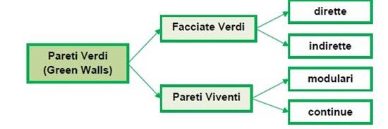 Pareti verdi (Green walls).
