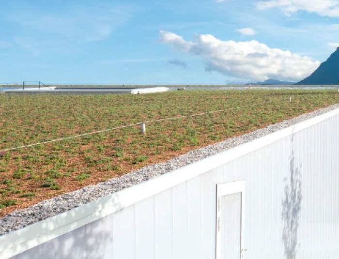 Soluzioni Green Roof di Polyglass