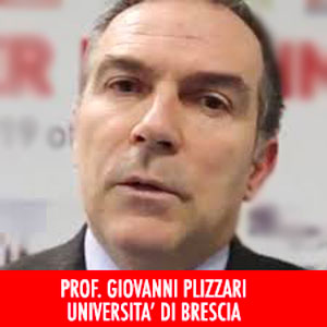 giovanni-plizzari-fibre-calcestruzzo-brescia