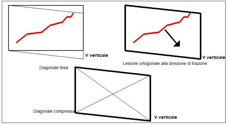 Lesione sub verticale da cedimento 