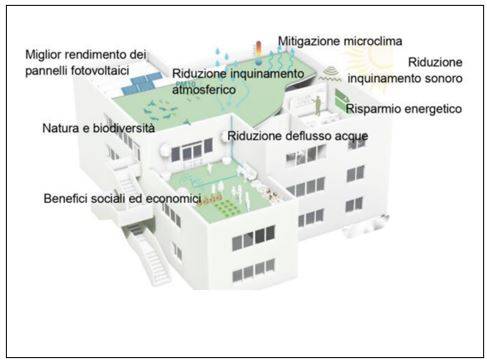 Vantaggi di tetti e pareti verdi