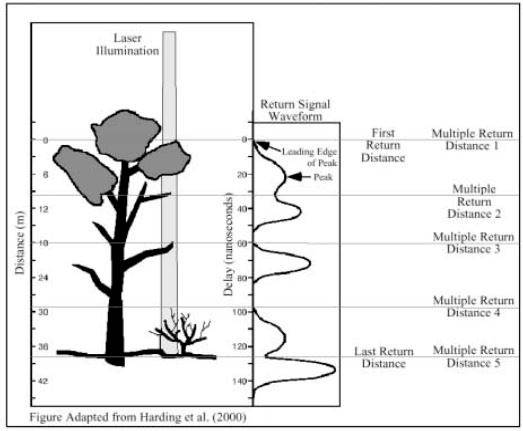 enerazione di riflessioni multiple del raggio LiDAR nel caso di presenza di vegetazione