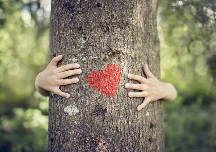 Il cuore metodologico del progetto si fonda sui 15 pattern del Biophilic Design.