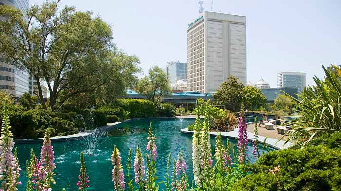 ca_oakland_kaisercenterroofgarden_tomfox.jpg