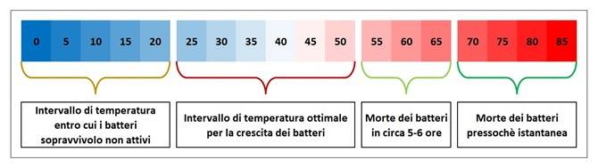 Figura 1 –Tasso di sviluppo/mortalità della legionella con la temperatura.