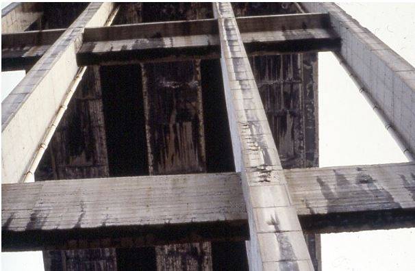 pstato di degrado evidenziato nei primi anni ‘80 da una delle pile a V non strallate del viadotto Polcevera