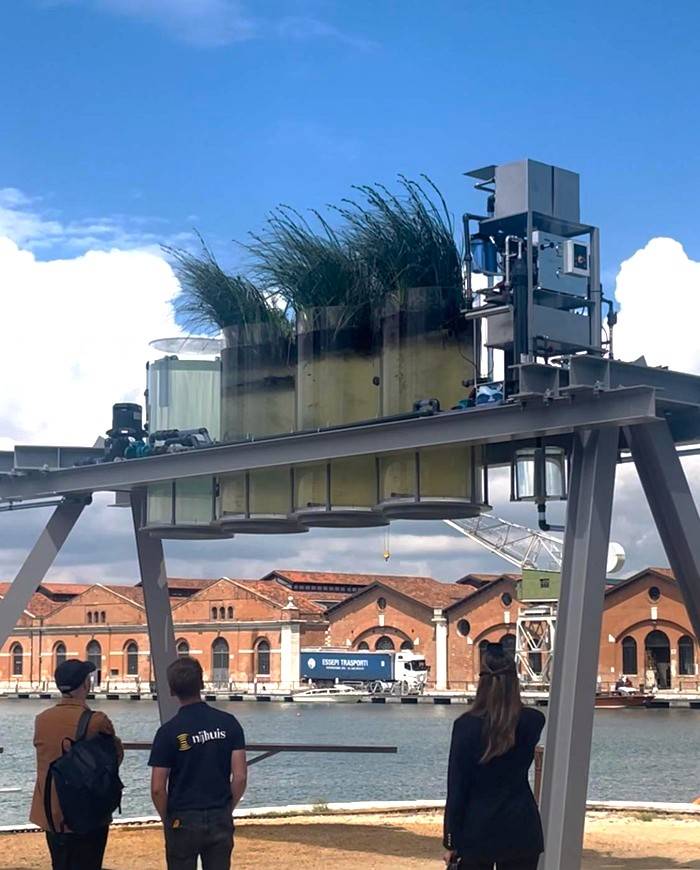 Canal Café, il sistema ibrido di depurazione, naturale-artificiale accelera gli effetti depurativi delle zone umide di marea, rendendo potabile l'acqua del canale.