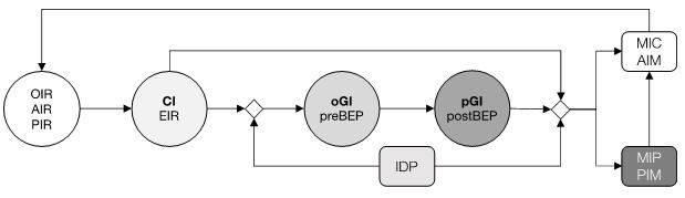 bim_flusso-informativo_secondo-iso-19650.JPG