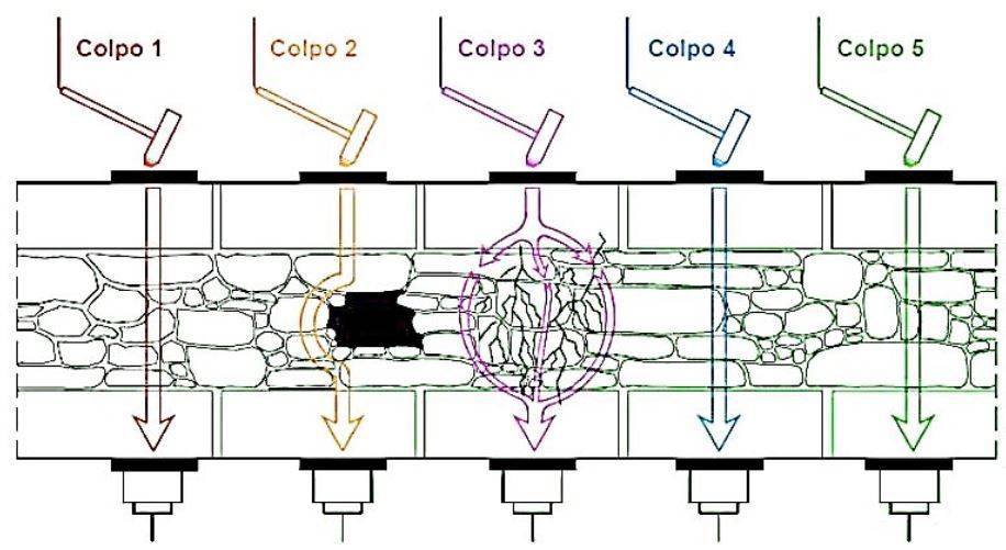 Figura 2 - Modalità di propagazione dell’impulso.