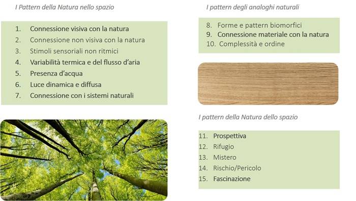 I pattern biofilici nel progetto.