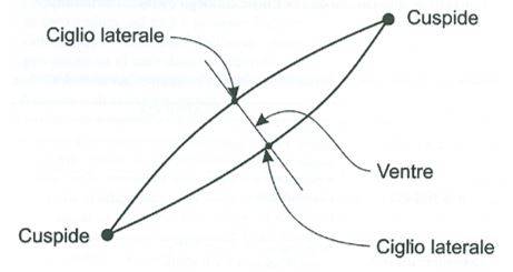 Elementi costitutivi di una lesione