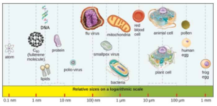 fotocatalisi-per-fermare-il-virus-01.jpg