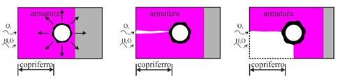 Evoluzione dello stato fessurativo nel calcestruzzo per effetto della corrosione della barra di armatura