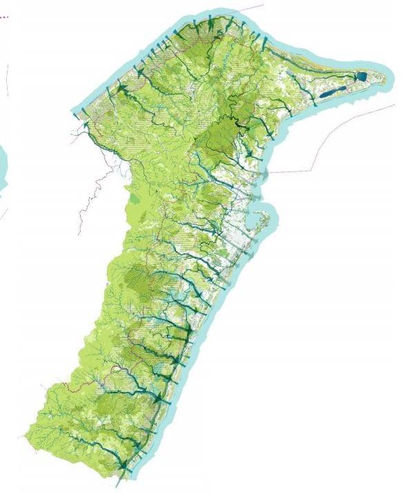 zona-q.jpg