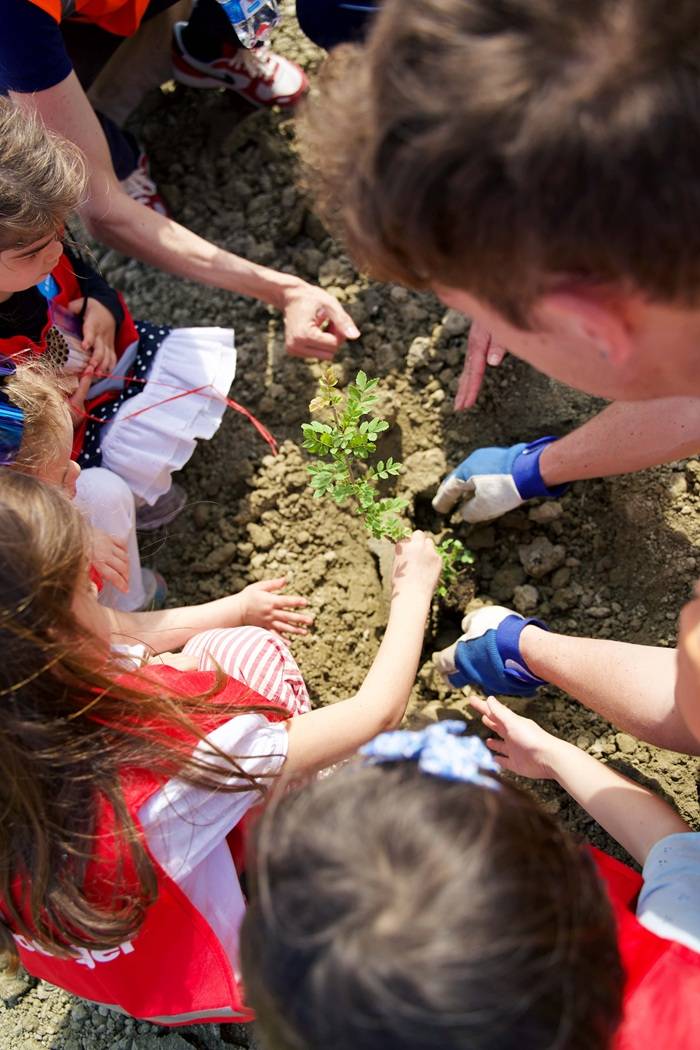 Biodiversity Day di wienerberger Italia