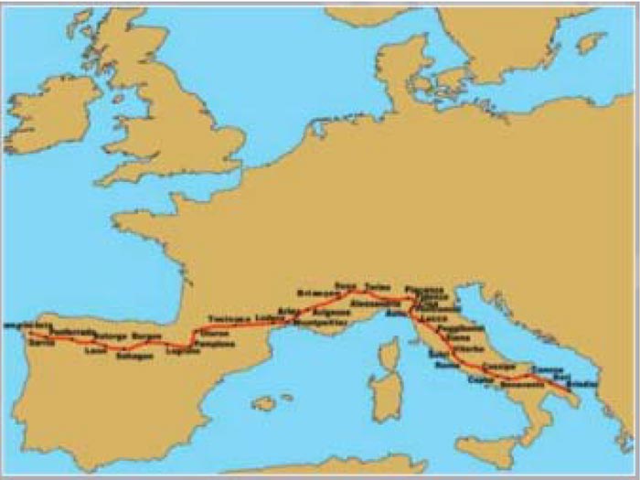 teratecnologia-articolo-camomilla-04