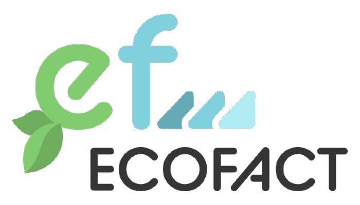One Team partner tecnologico del progetto Ecofact