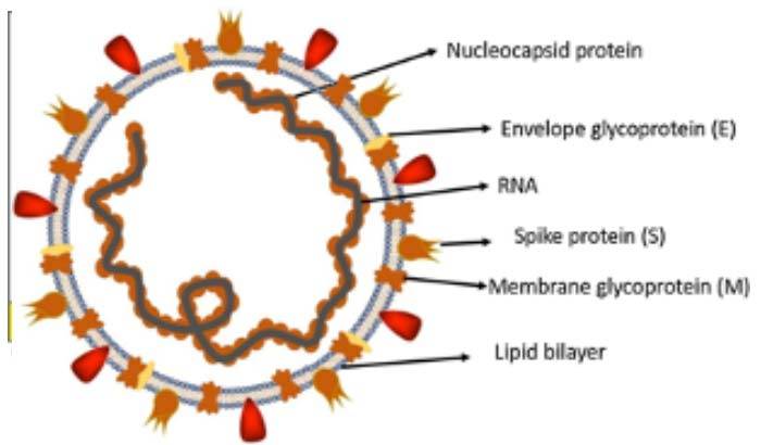 fotocatalisi-per-fermare-il-virus-02.jpg