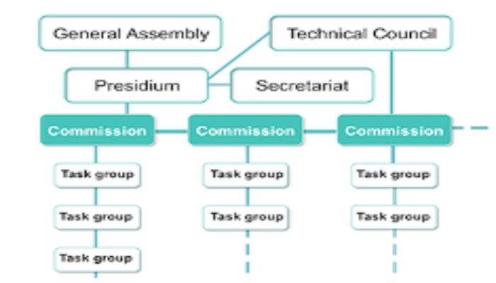 fib-organigramma-01.jpg