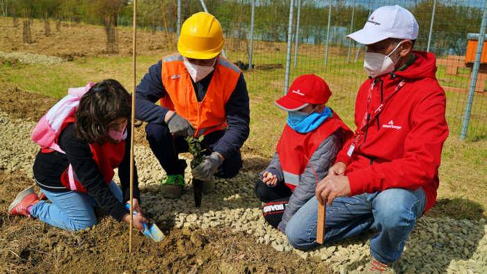 Wienerberger: piantiamo un albero per un futuro sostenibile