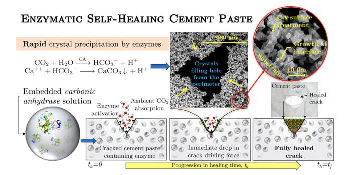 calcestruzzi-autoriparanti-a-base-enzimatica.jpg