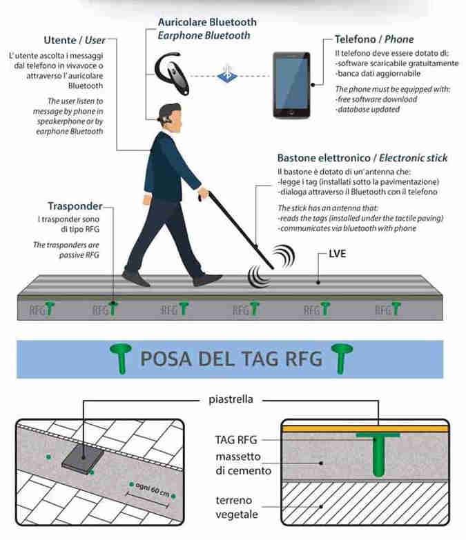 Il sistema Loges-Vet-Evolution