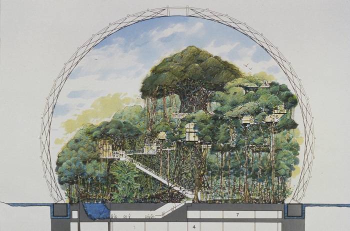 Tsuruhama Rain Forest Pavilion, Osaka, Japan. Project. 1993–95. Section drawing showing the underground levels and the paths at the forest level. 1994–95.